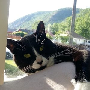 Meet your Posher, Cheryl